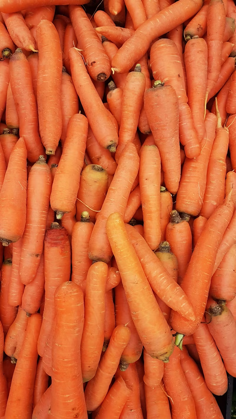 Organic Carrots