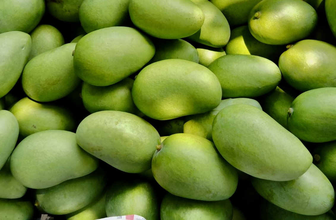 Jardalu & Safed Maldah Mango